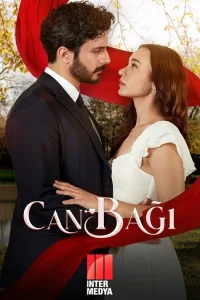 Сердечные струны